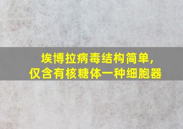 埃博拉病毒结构简单,仅含有核糖体一种细胞器