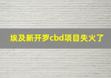 埃及新开罗cbd项目失火了