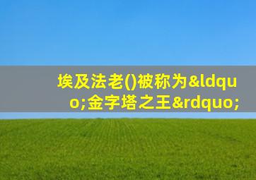 埃及法老()被称为“金字塔之王”