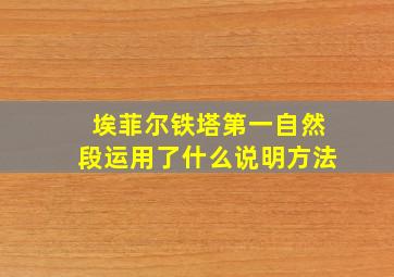 埃菲尔铁塔第一自然段运用了什么说明方法