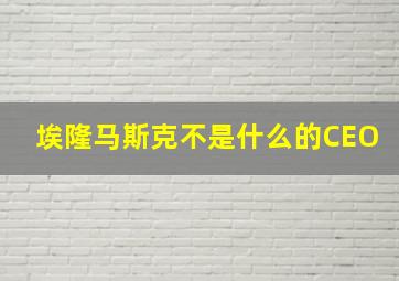 埃隆马斯克不是什么的CEO