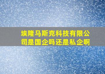 埃隆马斯克科技有限公司是国企吗还是私企啊