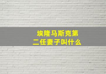 埃隆马斯克第二任妻子叫什么