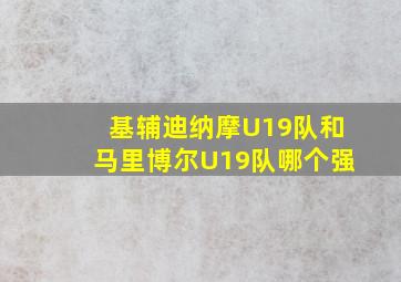 基辅迪纳摩U19队和马里博尔U19队哪个强