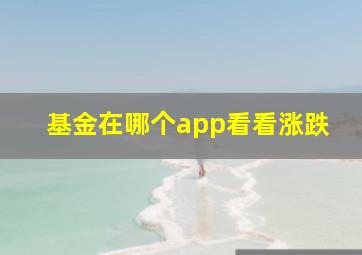 基金在哪个app看看涨跌