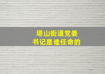 塔山街道党委书记是谁任命的