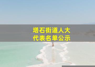 塔石街道人大代表名单公示