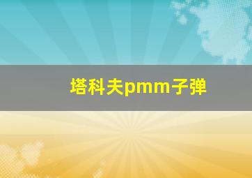 塔科夫pmm子弹