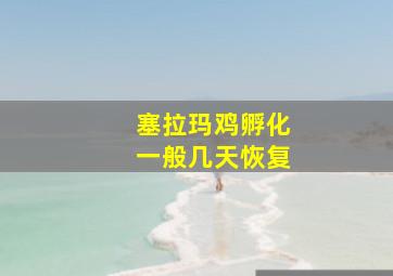 塞拉玛鸡孵化一般几天恢复