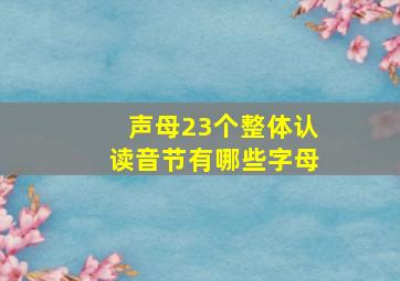 声母23个整体认读音节有哪些字母