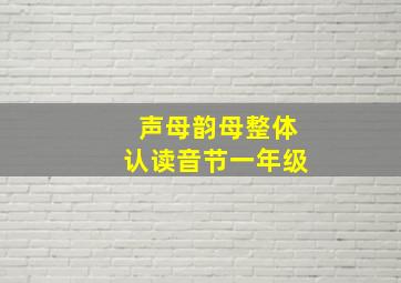 声母韵母整体认读音节一年级