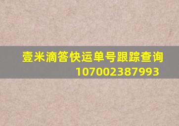 壹米滴答快运单号跟踪查询107002387993