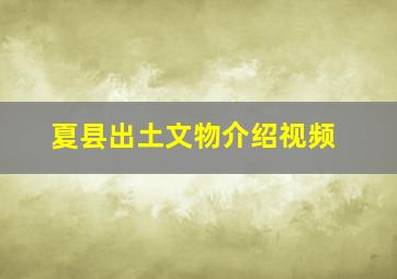 夏县出土文物介绍视频