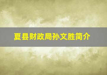 夏县财政局孙文胜简介