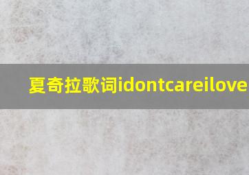 夏奇拉歌词idontcareiloveit