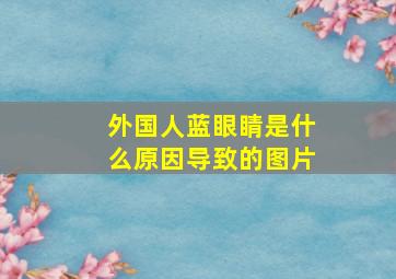 外国人蓝眼睛是什么原因导致的图片