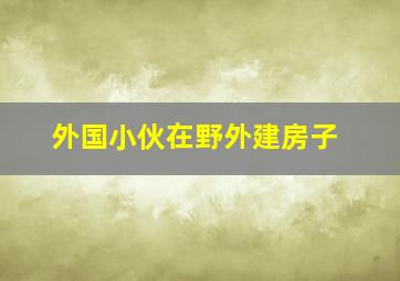 外国小伙在野外建房子