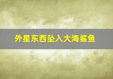 外星东西坠入大海鲨鱼