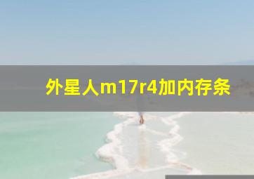 外星人m17r4加内存条