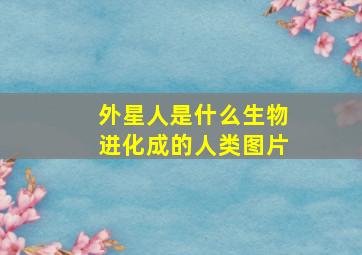 外星人是什么生物进化成的人类图片