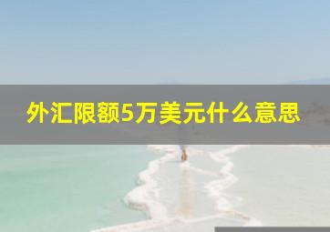 外汇限额5万美元什么意思