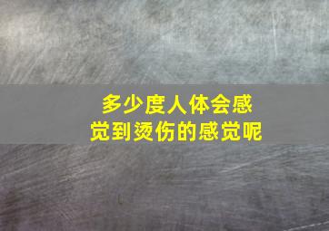 多少度人体会感觉到烫伤的感觉呢