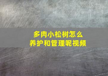 多肉小松树怎么养护和管理呢视频