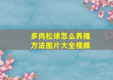 多肉松球怎么养殖方法图片大全视频