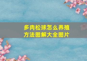 多肉松球怎么养殖方法图解大全图片