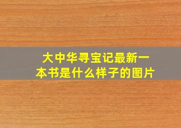 大中华寻宝记最新一本书是什么样子的图片