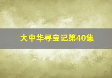 大中华寻宝记第40集