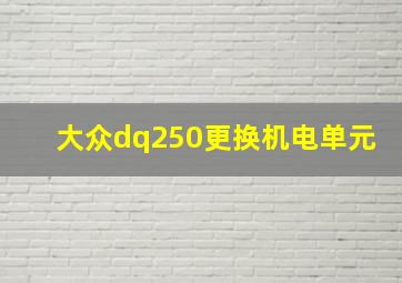 大众dq250更换机电单元