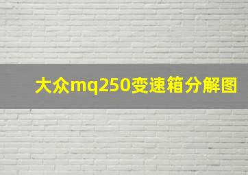 大众mq250变速箱分解图