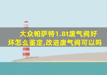 大众帕萨特1.8t废气阀好坏怎么鉴定,改进废气阀可以吗