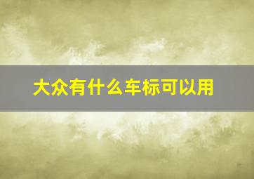 大众有什么车标可以用