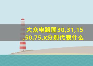 大众电路图30,31,15,50,75,x分别代表什么