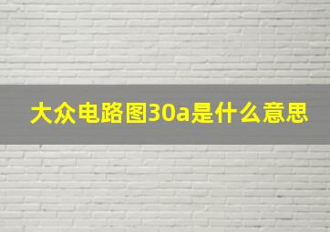 大众电路图30a是什么意思