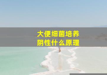 大便细菌培养阴性什么原理