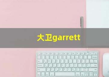 大卫garrett