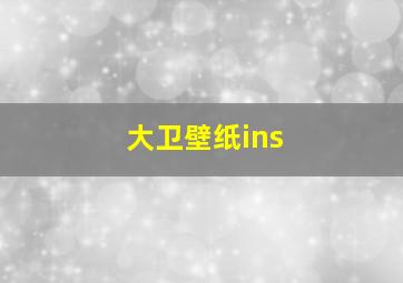 大卫壁纸ins