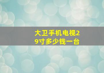 大卫手机电视29寸多少钱一台