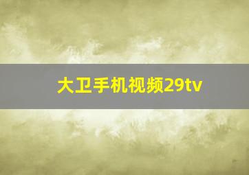 大卫手机视频29tv