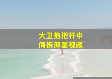 大卫拖把杆中间拆卸图视频