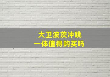 大卫波茨冲跳一体值得购买吗