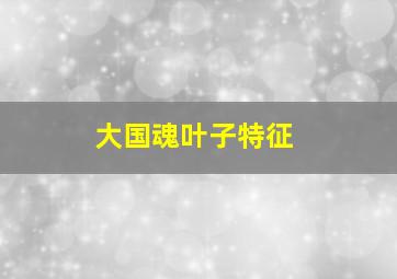 大国魂叶子特征