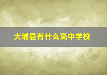 大埔县有什么高中学校