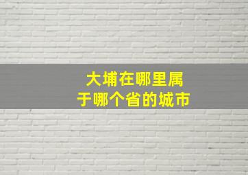 大埔在哪里属于哪个省的城市