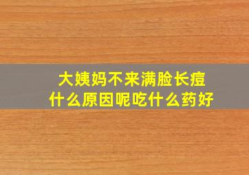 大姨妈不来满脸长痘什么原因呢吃什么药好