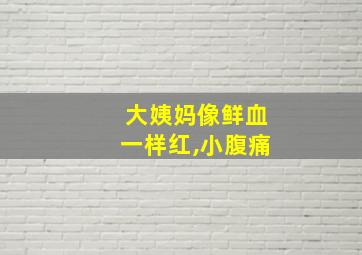 大姨妈像鲜血一样红,小腹痛