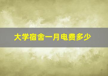 大学宿舍一月电费多少